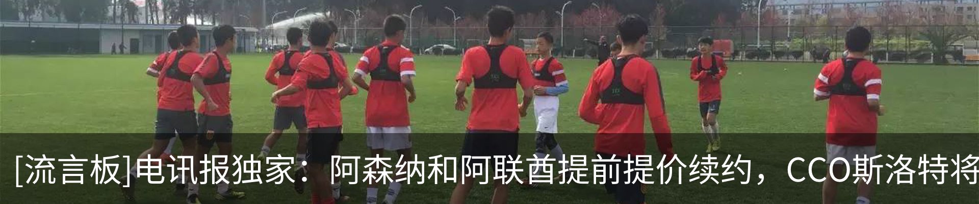 新闻动态